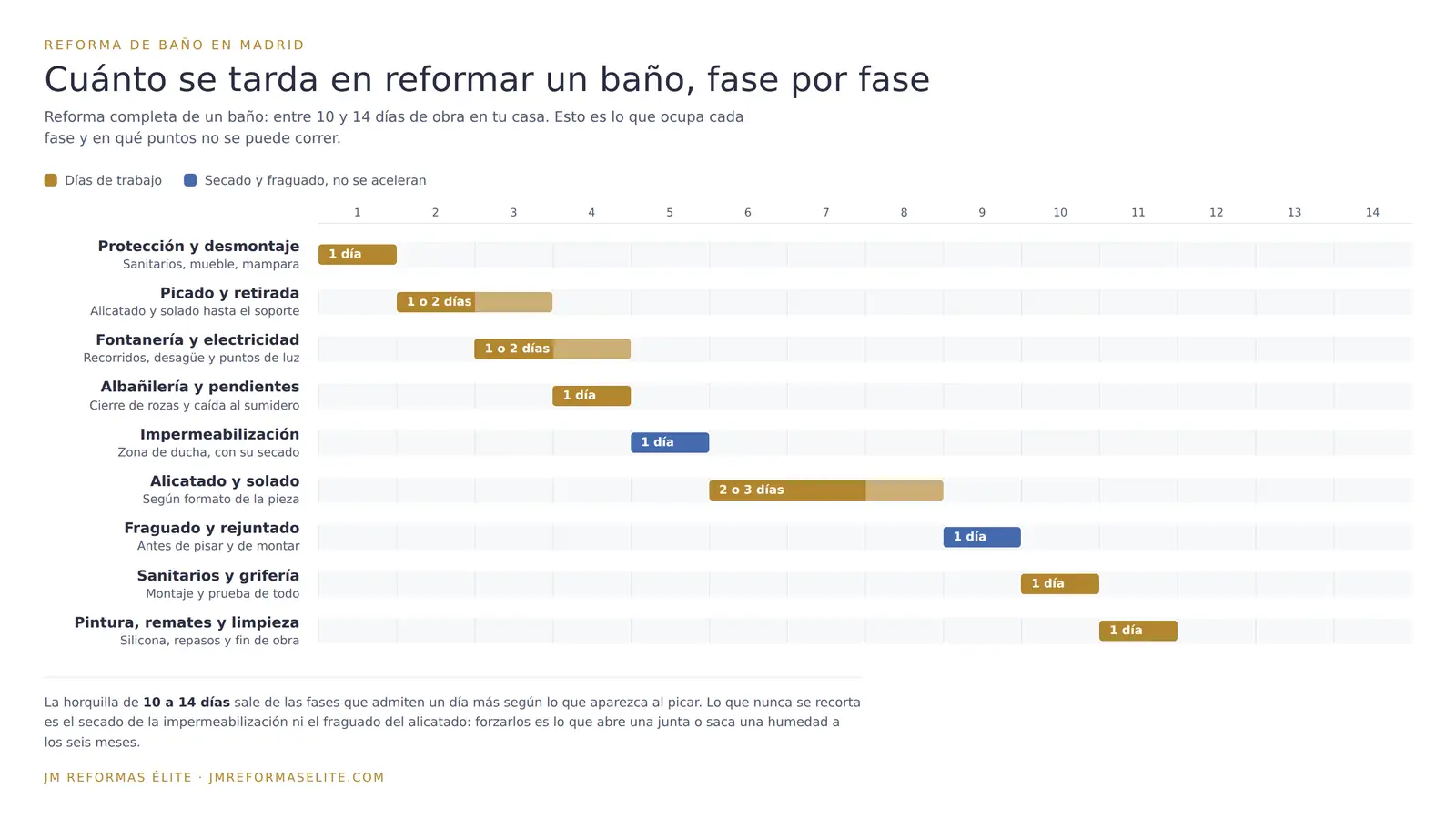 Cronograma de una reforma de baño completa de 10 a 14 días, con los días de trabajo de cada fase y las esperas de secado y fraguado